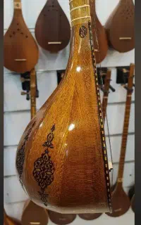 سه تار ،مهر مفاخری حرفه ای