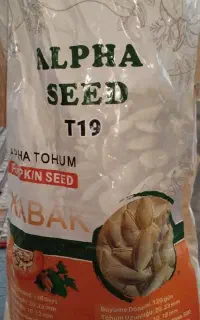 تخم کدو T19