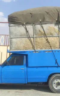 خرید و فروش یونجه کاه .کاه لوبیا گندم .جو