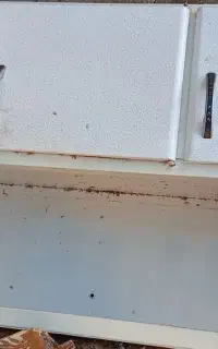 سینگ و آبچکان