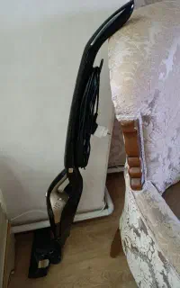 جاروی ایستاده