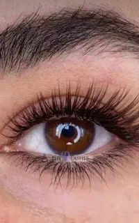 آموزش اکستنشن مژه با مدرک فنی حرفه ای