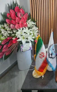 وکیل دادگستری