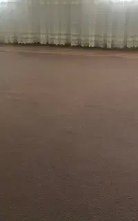 موکت