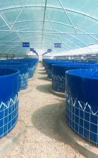 عایق‌های استخری