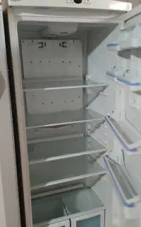 یخچال دو قلو ایستاده