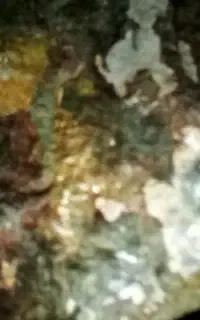 سنگ طلا دار زیبا