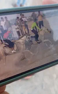 اسب به نام یاغی افسانه‌ای