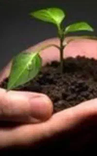 ترک بدون مراقبت ویژه