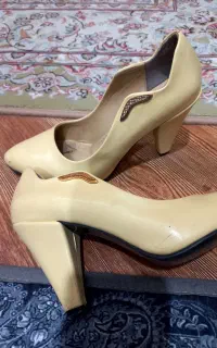 کفش مجلسی