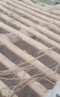 باسلام