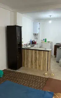 خانم جهت انجام امورات منزل.