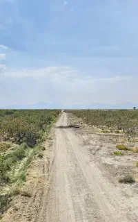 استخدام ابدار باغ پسته