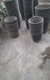 فروش گلدان