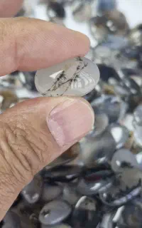 شجر و یاقوت و شرف