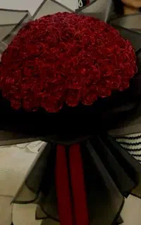 گل روبانی مخملی و پروانه ایی
