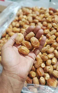 خرمای زاهدی ( قصب )
