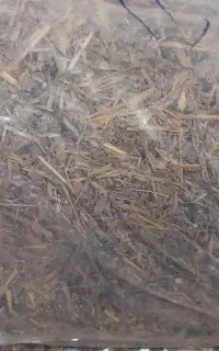 خوراک دام مخصوص پرواربندی گاو و گوسفند