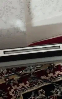 دی وی دی