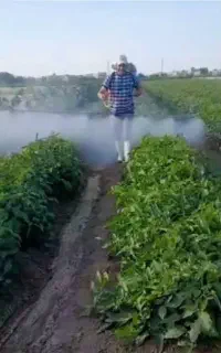 سمپاشی زمین کشاورزی
