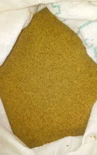 بذر یونجه