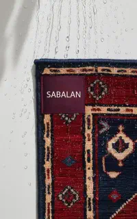 قالیشویی سبلان قالی شویی + حمل رایگان