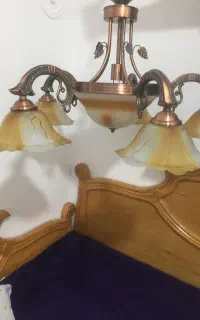 لوسترپنج شاخه