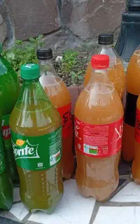آبغوره تازه ومرباتمشک  جنگلی