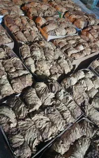 تنباکو