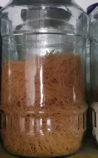 ۱۵۰عددشیشه