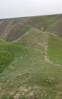 خط رند ۲۲۰۰۹۶۰