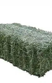 پرس یونجه خشک