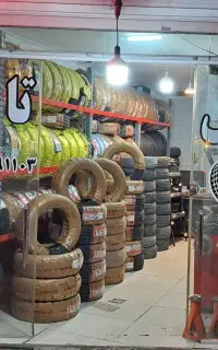 لاستیک دولتی