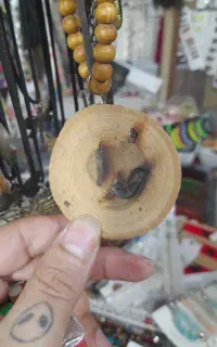 سر )کتاب (د عا با(زگشت) معش وق