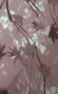 فروش موکت