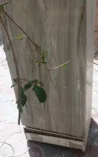 یخچال کلویناتور قدیمی امریکایی