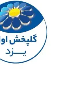 نیسان به همراه راننده