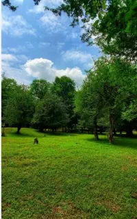 تور گردشگری