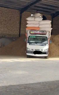 کاه