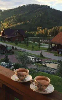 استخدام ادمین