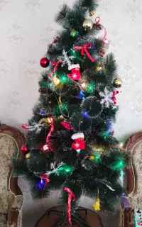 درخت کریسمس سوزنی برفی