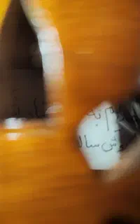 سنتور متعلق به پشنگ کامکار