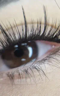 اکستنشن مژه،کاشت هیدن،لیفت ابرو و مژه