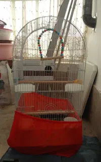 قفس درحد نو