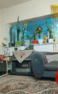 تعداد وسایل جدید