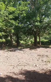 طبیعت گردی