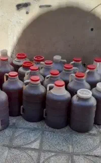 عسل