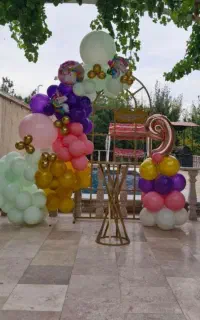 تم تولد