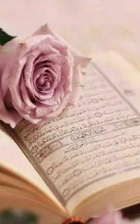 دعا