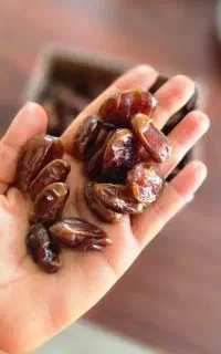 خرما بدون هسته